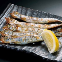 Seared shishamo smelt