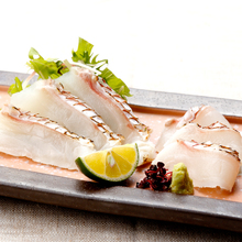 Madai(red seabream)