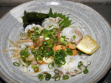 Seared octopus