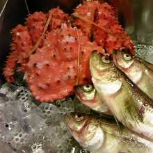 Hanasaki Crab