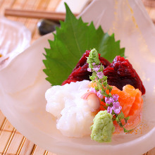 Sashimi