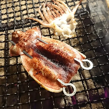 Grilled squid