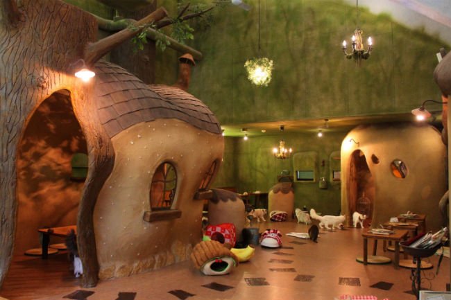 cat_cafe