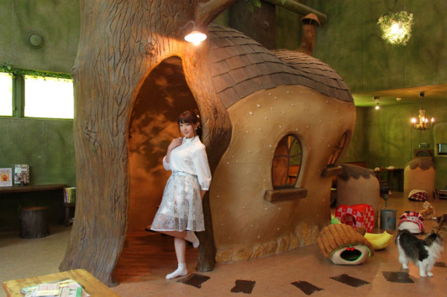 cat_cafe