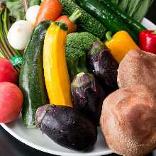  Freshly Harvested Vegetables