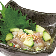 Wasabi octopus