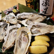 Raw oyster