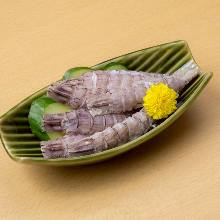 Mantis Shrimp with Vinegar Sauce