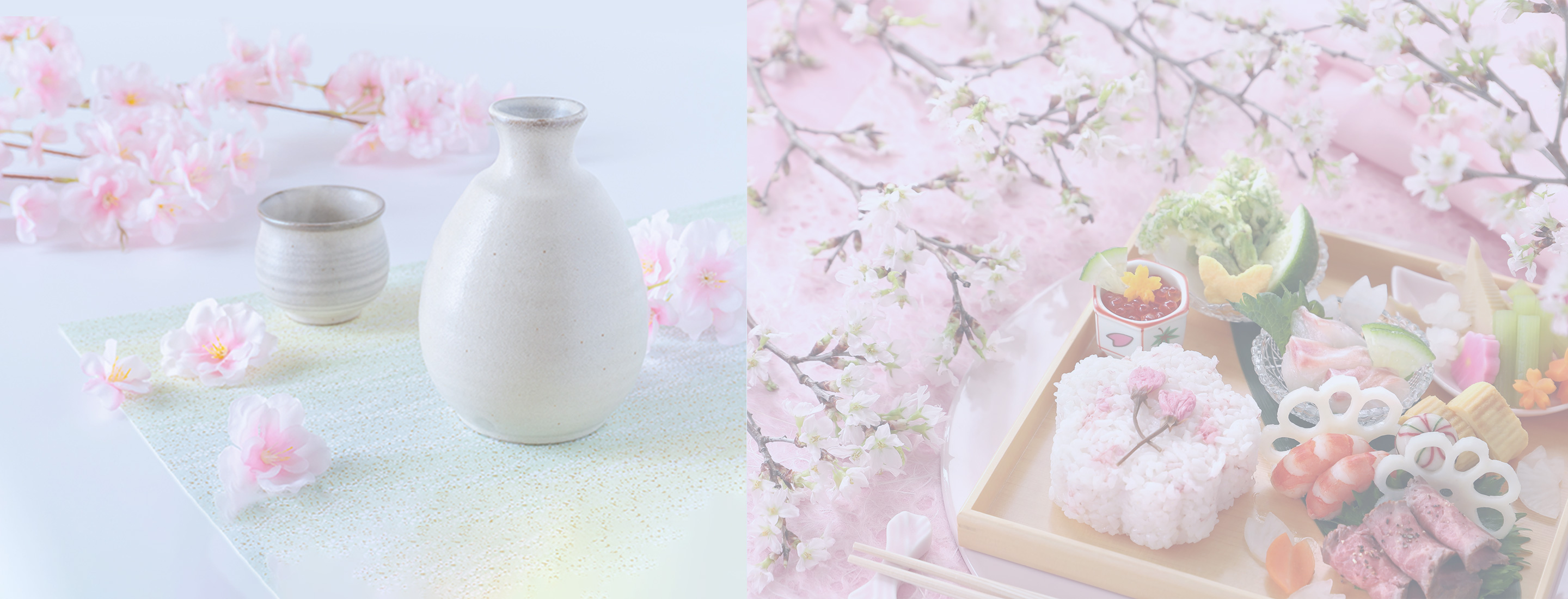 specialH1.sakura
