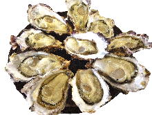 旬の産地より　生牡蠣