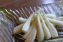 島らっきょう