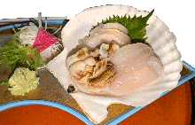 帆立（刺身）