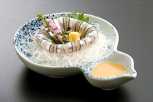 회