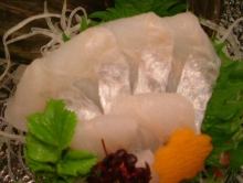 날개줄고기(회)