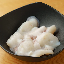살아 있는 문어