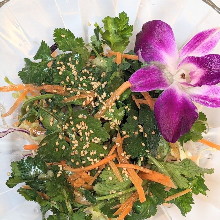Coriander salad