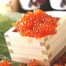 鲑鱼卵盖饭