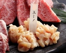 上等瘤胃