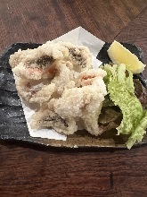 炸雙帶烏尾鮗