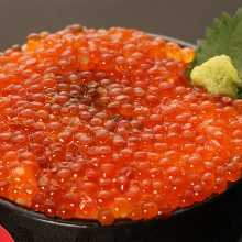 鮭魚卵蓋飯