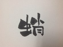章魚（生魚片）