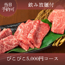 5,000日圓套餐 (9道菜)