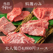 4,000日圓套餐 (10道菜)